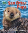 Cover: Sea Otter Pups - Bearport Books