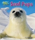 Cover: Seal Pups - Bearport Books