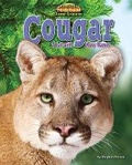Cover: Cougar - Bearport Books