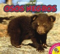 Cover: Osos Negros = Black Bears - Av2 by Weigl