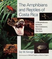 Abbildung von: The Amphibians and Reptiles of Costa Rica - University of Chicago Press