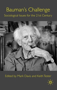 Enlarge image Cover: Bauman's Challenge - Palgrave Macmillan