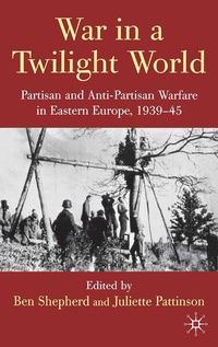Enlarge image Cover: War in a Twilight World - Palgrave Macmillan