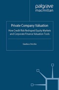 Cover: Private Company Valuation - Palgrave Macmillan