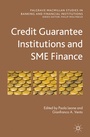 Bild: Credit Guarantee Institutions and SME Finance - Palgrave Macmillan