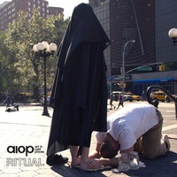 Enlarge image Cover: Art in Odd Places 2011: RITUAL - Lulu.com