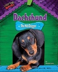 Cover: Dachshund - Bearport Books