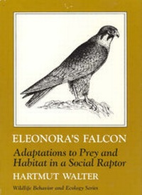 Enlarge image Cover: Eleonora's Falcon - University of Chicago Press
