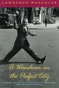 Cover: A Wanderer in the Perfect City - University of Chicago Press