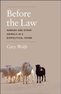 Cover: Before the Law - University of Chicago Press