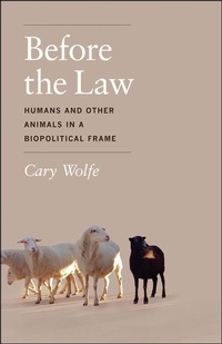 Enlarge image Cover: Before the Law - University of Chicago Press