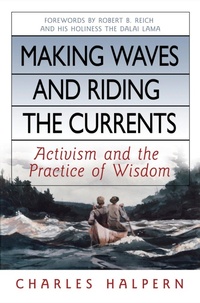 Enlarge image Cover: Making Waves and Riding the Currents. Activism and the Practice of Wisdom. - Berrett-Koehler