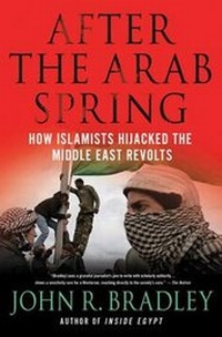 Enlarge image Cover: After the Arab Spring - Palgrave Macmillan