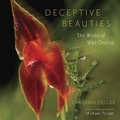 Cover: Deceptive Beauties - University of Chicago Press