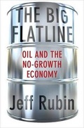 Cover: The Big Flatline - Palgrave Macmillan
