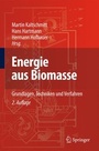 Cover: Energie aus Biomasse - Springer