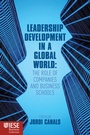 Cover: Leadership Development in a Global World - Palgrave Macmillan