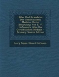 Cover: Atlas Und Grundriss Der Gerichtlichen Medizin - Nabu Press