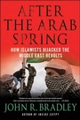 Cover: After the Arab Spring - St. Martin's Press