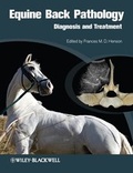Bild: Equine Back Pathology - Wiley-Blackwell