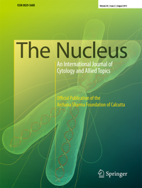 Bild: The Nucleus - Springer