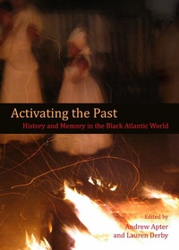 Enlarge image Cover: Activating the Past - Cambridge Scholars Publishing