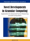 Bild: Novel Developments in Granular Computing - Information Science Reference