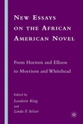 Cover: New Essays on the African American Novel - Palgrave MacMillan