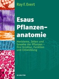 Cover: Esaus Pflanzenanatomie - De Gruyter