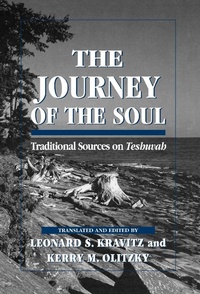 Enlarge image Cover: The Journey of the Soul - Jason Aronson Publishers