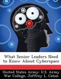 Cover: What Senior Leaders Need to Know About Cyberspace - BiblioBazaar, LLC