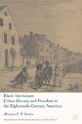 Cover: Black Townsmen - Palgrave MacMillan