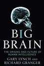 Cover: Big Brain - St. Martin's Press