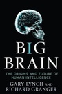 Cover: Big Brain - Palgrave MacMillan
