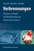 Cover: Verbrennungen - Springer