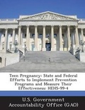 Cover: Teen Pregnancy - Bibliogov