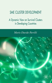 Enlarge image Cover: SME Cluster Development - Palgrave Macmillan