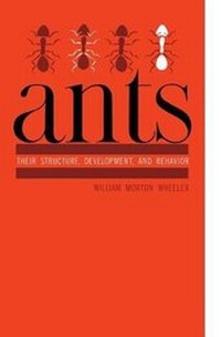 Enlarge image Cover: Ants - Columbia University Press
