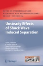 Cover: Unsteady Effects of Shock Wave induced Separation - Springer