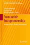 Cover: Sustainable Entrepreneurship - Springer