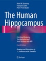Cover: The Human Hippocampus - Springer