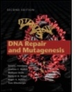 Cover: DNA Repair and Mutagenesis - American Society for Microbiology
