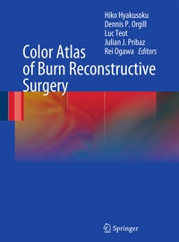 Bild: Color Atlas of Burn Reconstructive Surgery - Springer