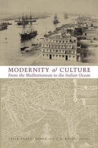 Enlarge image Cover: Modernity and Culture - Columbia University Press