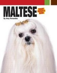 Enlarge image Cover: Maltese - Kennel Club Books Inc