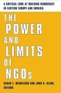 Cover: The Power and Limits of NGOs - Columbia University Press