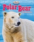 Cover: Polar Bear - Bearport Books