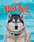 Cover: Sled Dog - Bearport Books