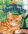 Cover: American Shorthairs - Bearport Books