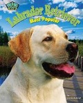 Cover: Labrador Retriever - Bearport Books